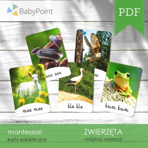 ODGŁOSY ZWIERZĄT - Karty edukacyjne