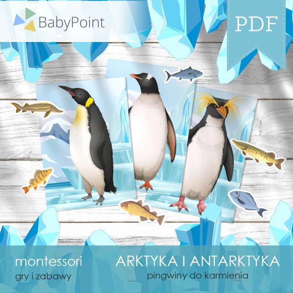 ARKTYKA I ANTARKTYDA - Pingwiny do karmienia