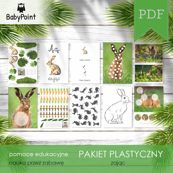 Zając - Pakiet plastyczny