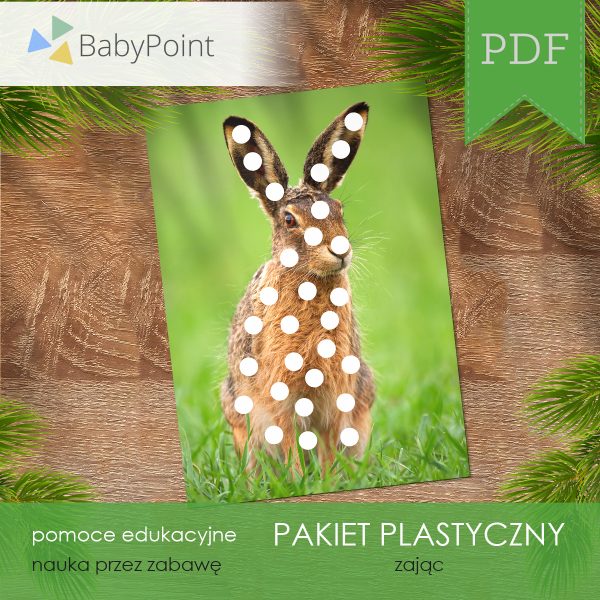 PAKIET PLASTYCZNY - Zając