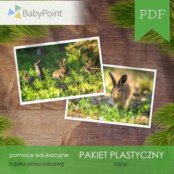 PAKIET PLASTYCZNY - Zając