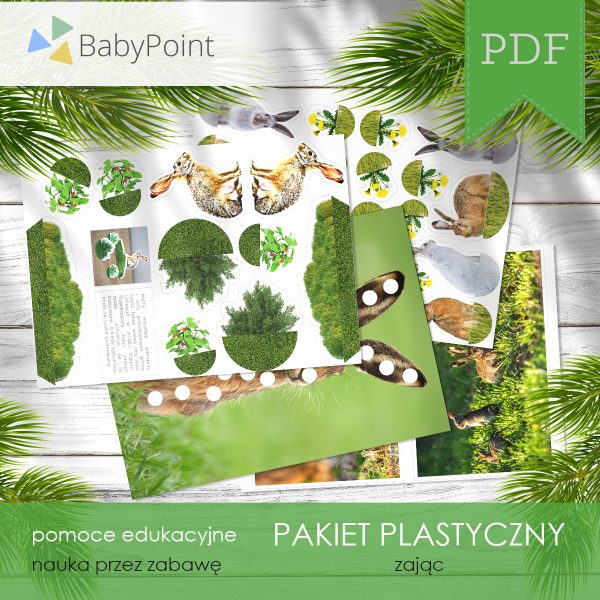 PAKIET PLASTYCZNY - Zając