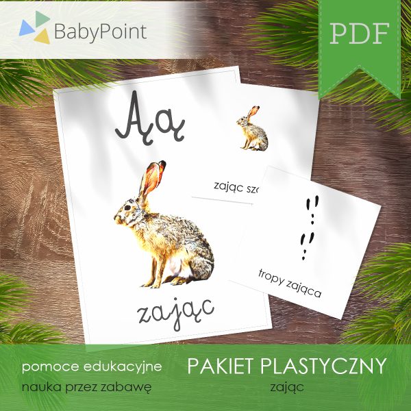 PAKIET PLASTYCZNY - Zając