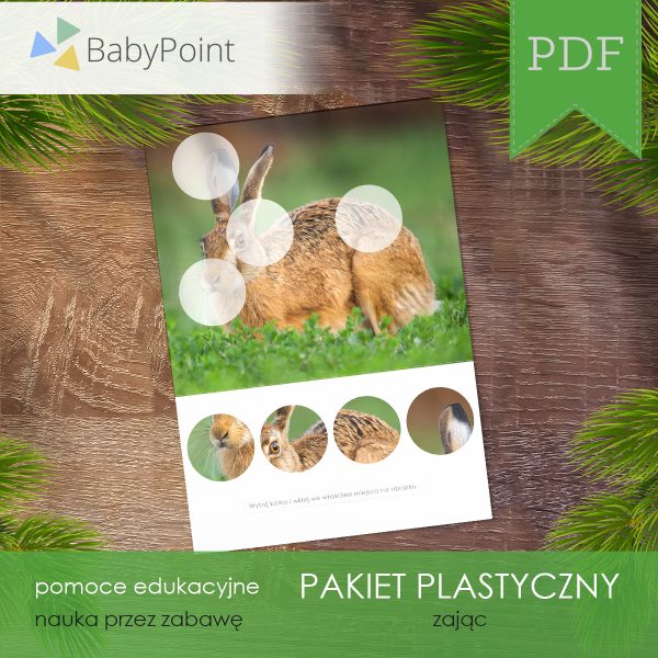 PAKIET PLASTYCZNY - Zając