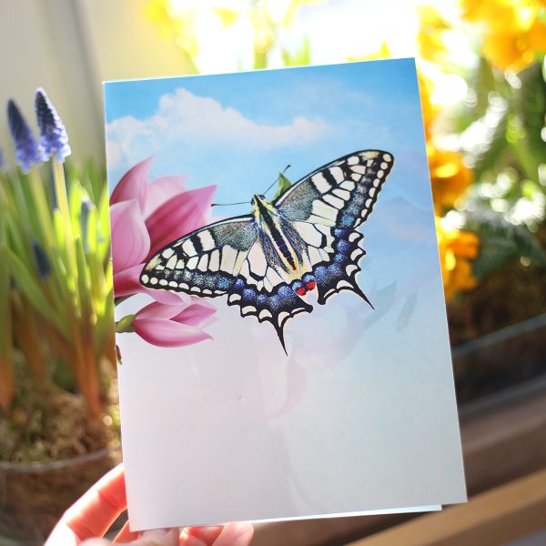 Motyl na kartce