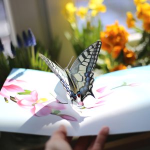 Motyl na kartce