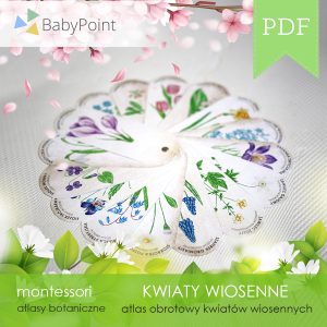 Kwiaty wiosenne