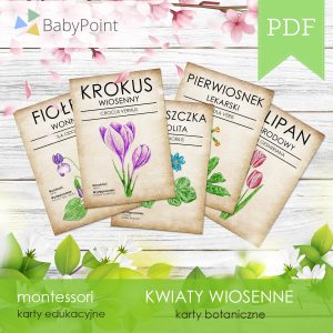 Karty botaniczne kwiatów wiosennych