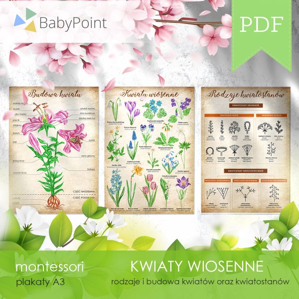 KWIATY WIOSENNE - Zestaw edukacyjny 3D