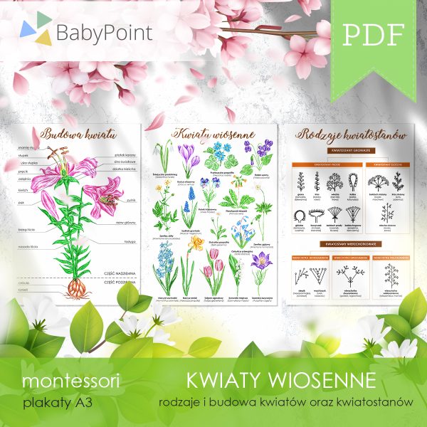 KWIATY WIOSENNE - Zestaw edukacyjny 3D