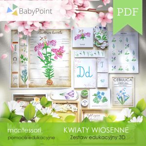 KWIATY WIOSENNE - Zestaw edukacyjny 3D
