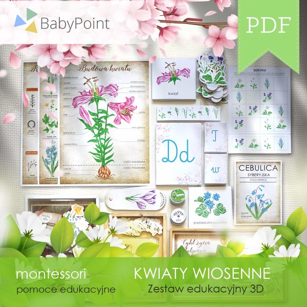 KWIATY WIOSENNE - Zestaw edukacyjny 3D
