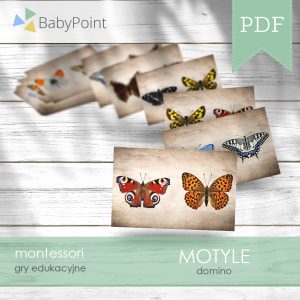 Motyle