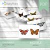 Motyle