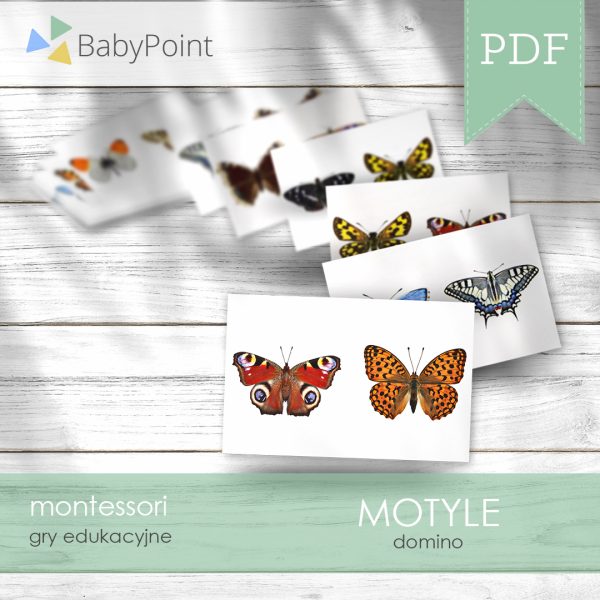 Motyle