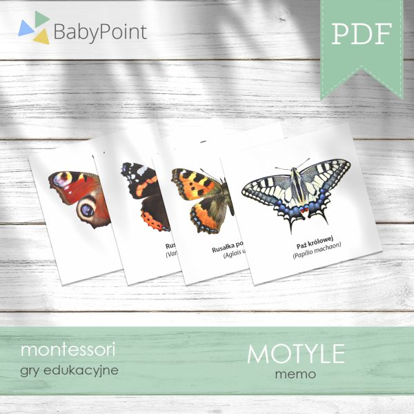 Motyle