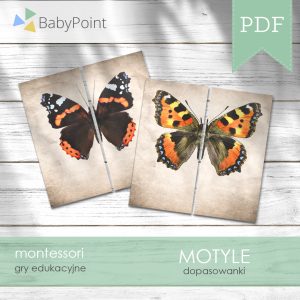 Motyle