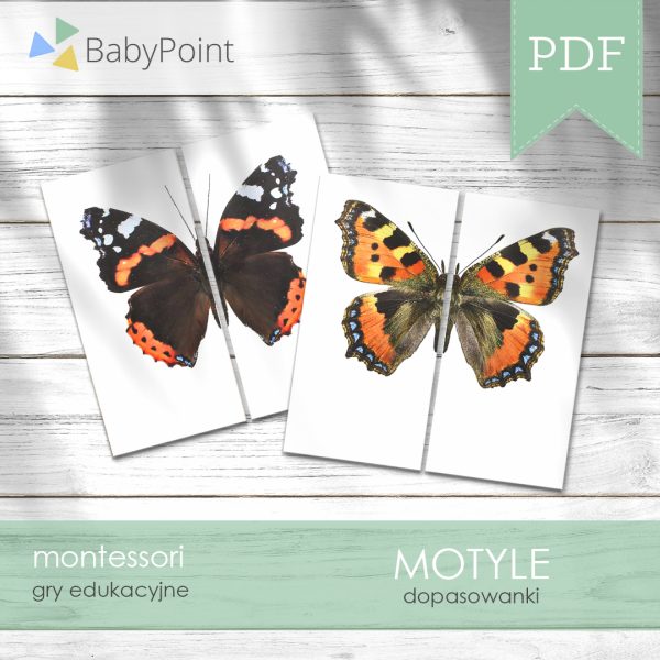Motyle