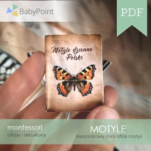 Motyle