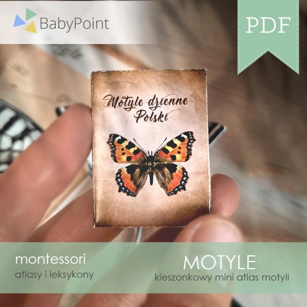 Motyle