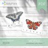 Motyle