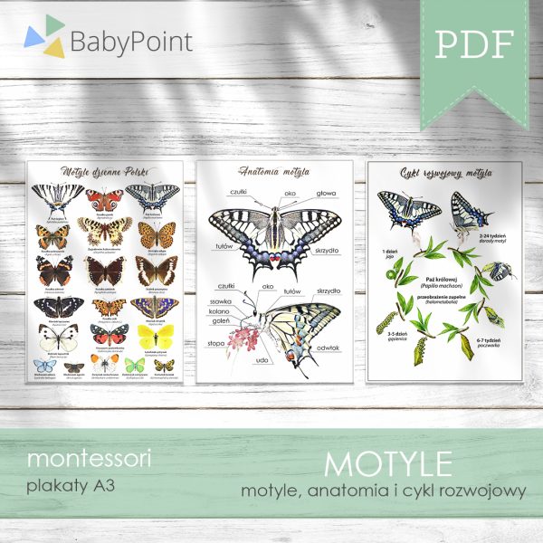 Motyle
