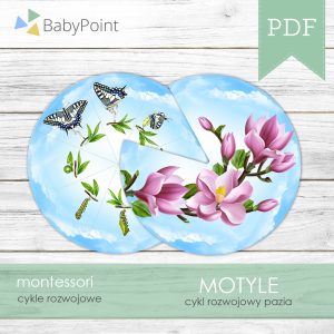 Motyl
