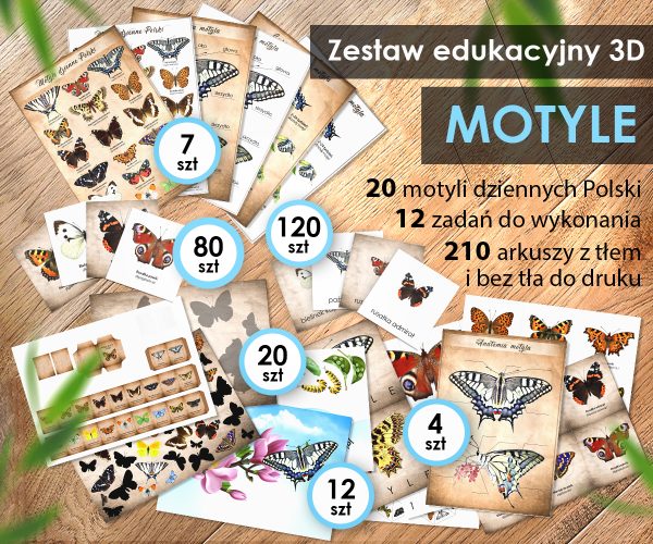 MOTYLE