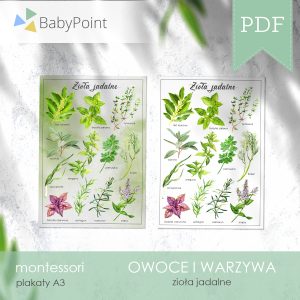 OWOCE i WARZYWA