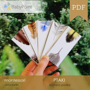 PTAKI - Domino piórka