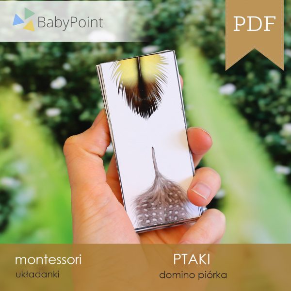 PTAKI - Domino piórka