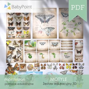 MOTYLE