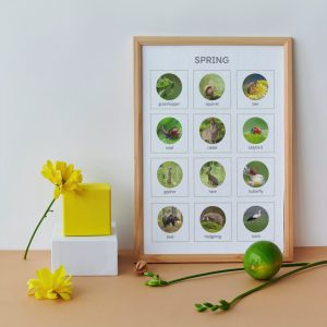 Spring
