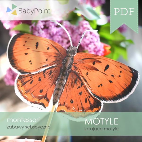 Latające motyle