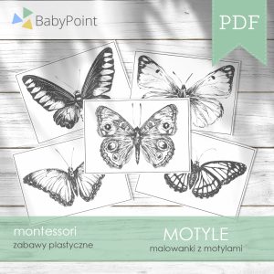 Motyle