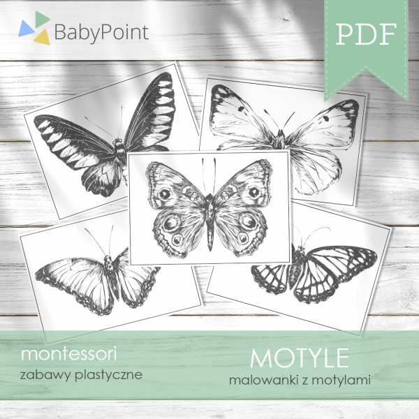 Motyle