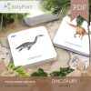 Dinozaury