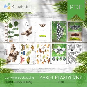 Pakiet plastyczny - Ćma