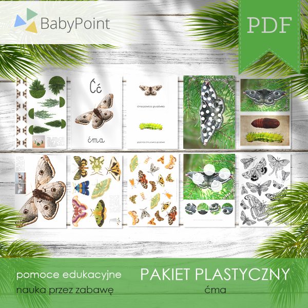 Pakiet plastyczny - Ćma