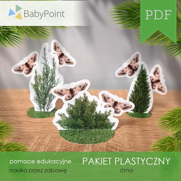 Pakiet plastyczny - Ćma