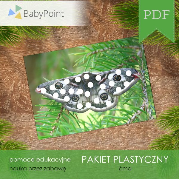 Pakiet plastyczny - Ćma