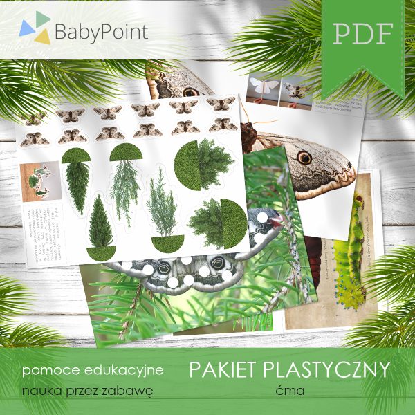 Pakiet plastyczny - Ćma