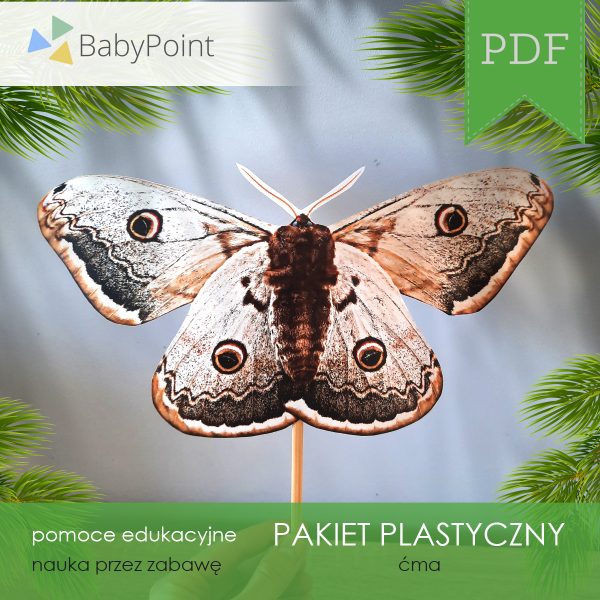 Pakiet plastyczny - Ćma