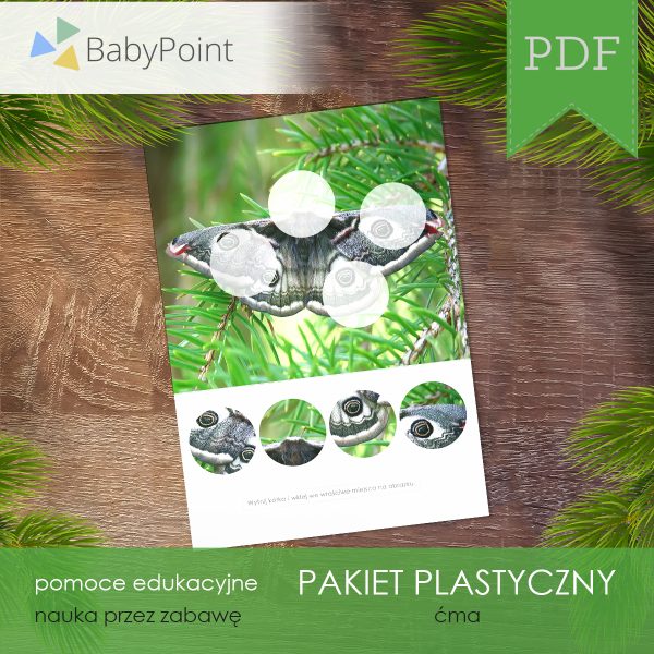 Pakiet plastyczny - Ćma