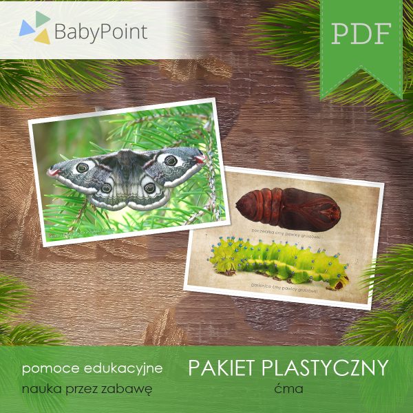 Pakiet plastyczny - Ćma