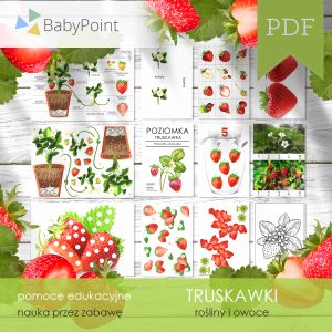 TRUSKAWKI - Zestaw edukacyjny 3D