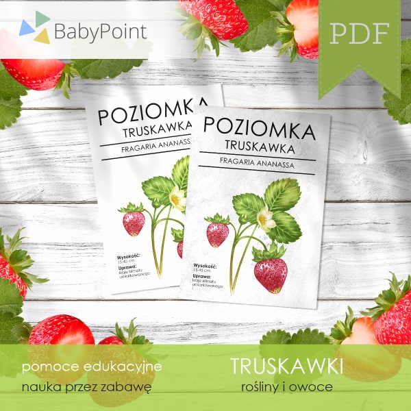 TRUSKAWKI - Zestaw edukacyjny 3D