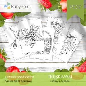 TRUSKAWKI - Zestaw edukacyjny 3D