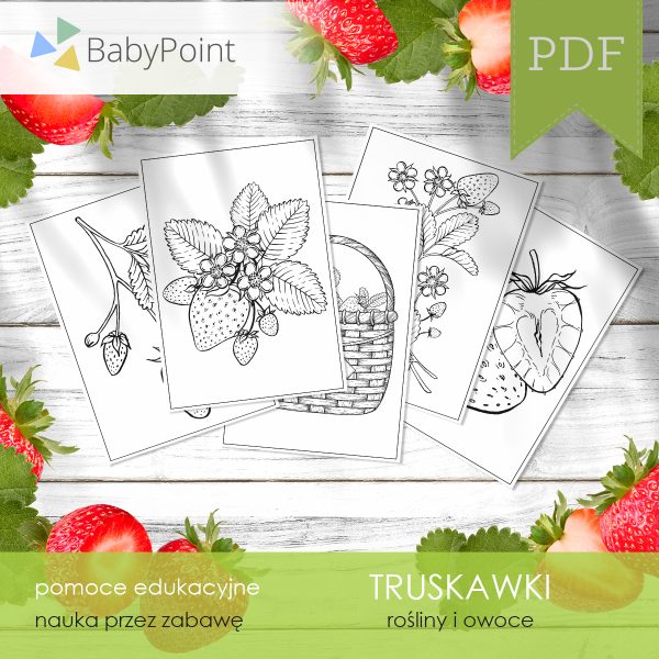 TRUSKAWKI - Zestaw edukacyjny 3D