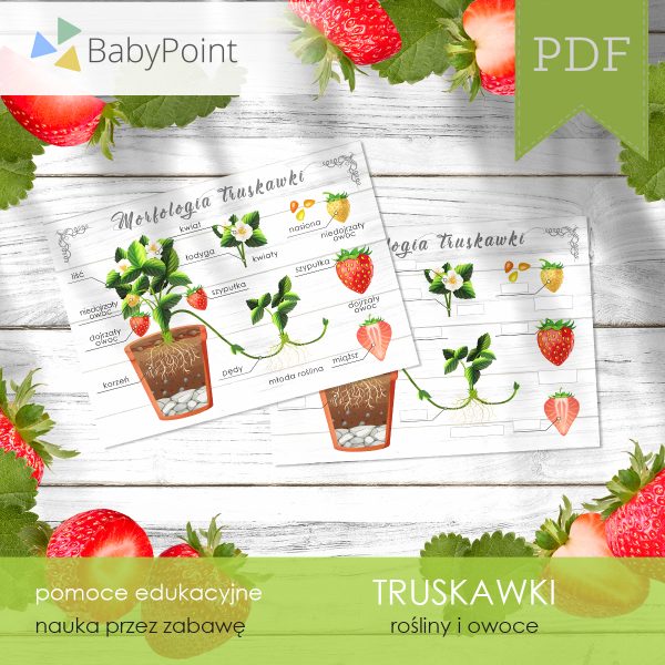 Truskawki
